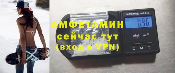 метадон Богданович