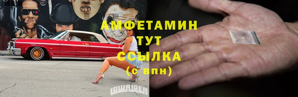 метадон Богданович