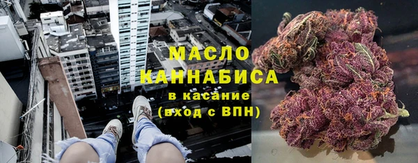 метадон Богданович